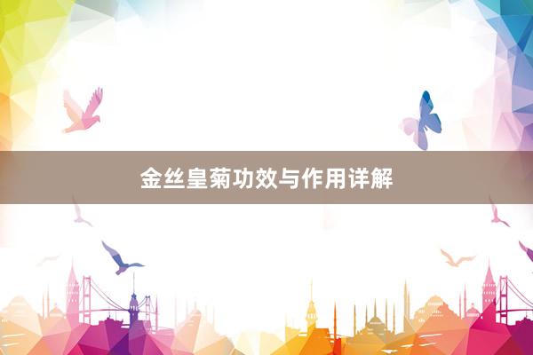 金丝皇菊功效与作用详解