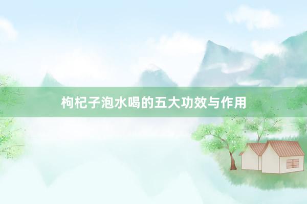 枸杞子泡水喝的五大功效与作用