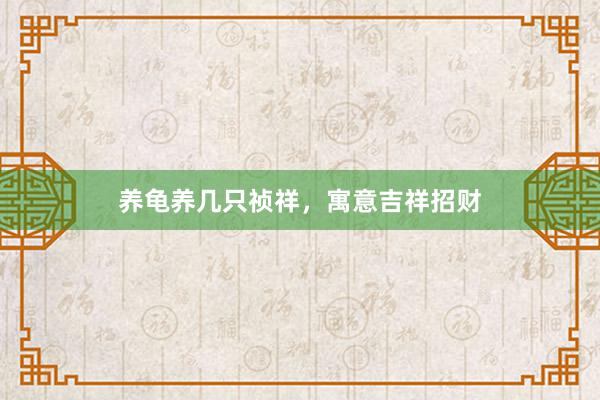 养龟养几只祯祥，寓意吉祥招财