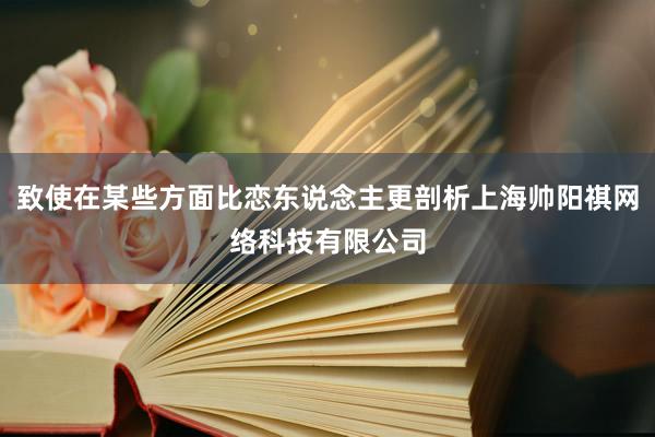 致使在某些方面比恋东说念主更剖析上海帅阳祺网络科技有限公司
