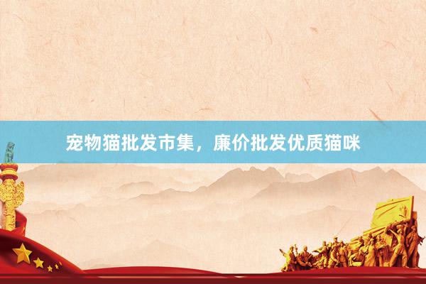 宠物猫批发市集，廉价批发优质猫咪