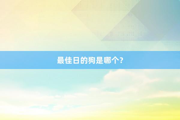 最佳日的狗是哪个？